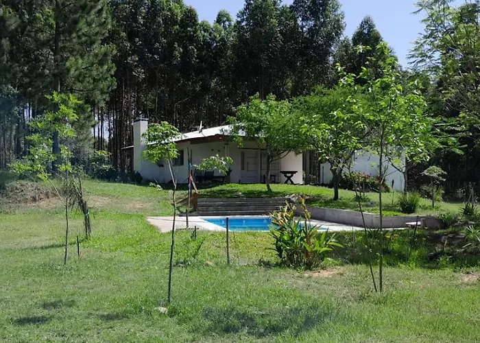 Los Agapantos